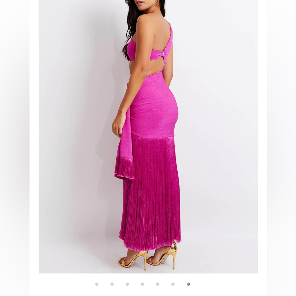 PatBo Fringe Dress - Picture 4 of 4